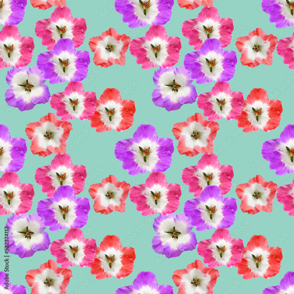 Geranium. Illustration, texture of flowers. Seamless pattern for continuous replication. Floral background, photo collage for textile, cotton fabric. For wallpaper, covers, print.