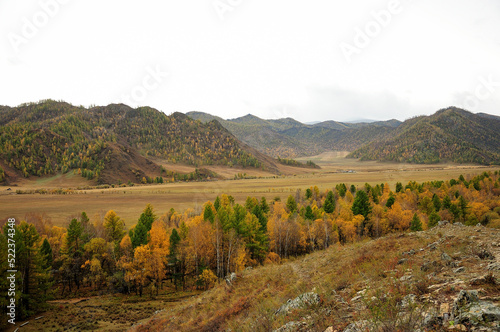 Coniferous forest in a valley surrounded by high mountains in early autumn.