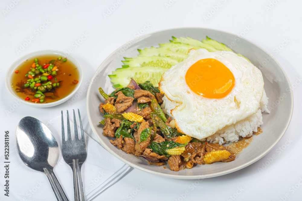 Stir Fried Beef with Chili on Rice Stir Fried Beef with Chili on Rice