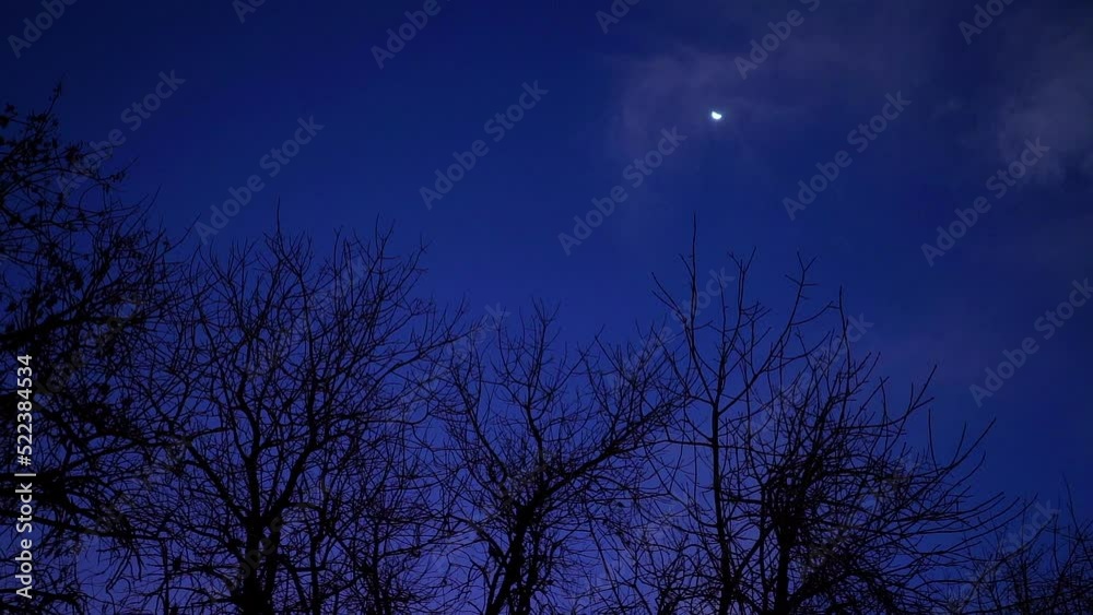 Rotating slow-motion view of tree branches and the moon at dusk. Rotating slow-motion view of tree branches and the moon at dusk.