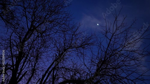 Rotating slow-motion view of tree branches and the moon at dusk. photo