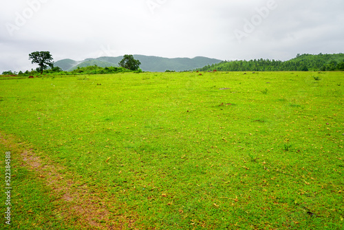 Greenary Mountain Valley of Daringbadi in Odisha photo