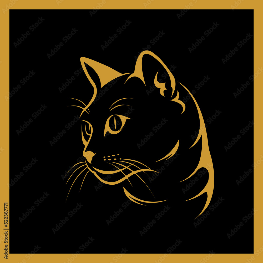 black cat on dark background
