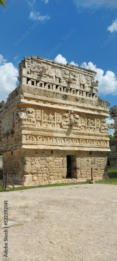 Obraz premium the house