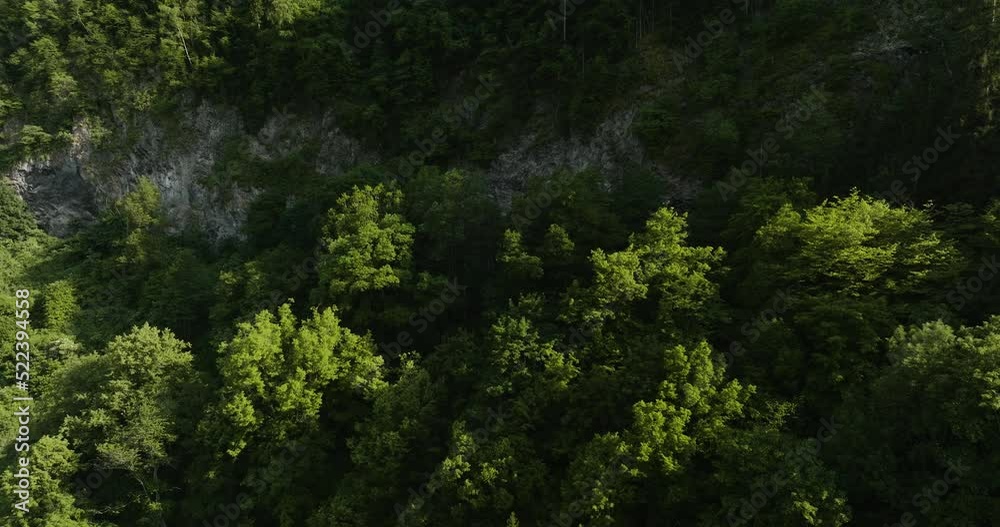 Steep Rocky Mountain With Dense Forest Trees In Bakuriani Valley, Borjomi District of Georgia. Aerial Topdown Steep Rocky Mountain With Dense Forest Trees In Bakuriani Valley, Borjomi District of Georgia. Aerial Topdown
