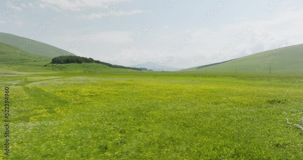 Green Grassland With Wildflowers And Scenic Mountain Views In Summer. - low aerial flight Green Grassland With Wildflowers And Scenic Mountain Views In Summer. - low aerial flight