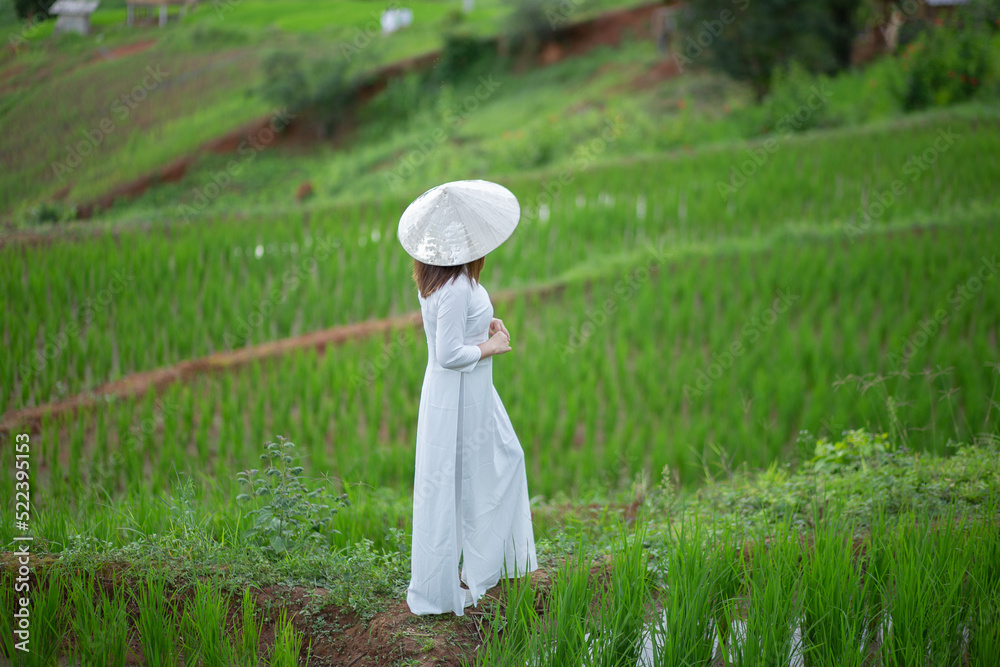 Asian beautiful woman with terraced green rice fields at Ban pa pong piang rice terraces of Chiang Mai, Thailand Asian beautiful woman with terraced green rice fields at Ban pa pong piang rice terraces of Chiang Mai, Thailand