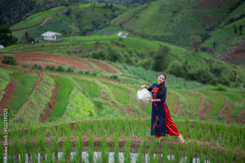 Asian beautiful woman with terraced green rice fields at Ban pa pong piang rice terraces of Chiang Mai, Thailand
