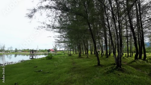 A street in a village near a lake photo