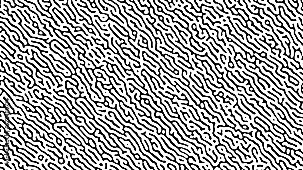 black and white geometric texture, grafic pattern for fabric, tile or backgroun black and white geometric texture, grafic pattern for fabric, tile or backgroun