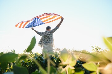 A young farmer stands with a USA flag in a soybean field. The concept of the US agricultural industry.
