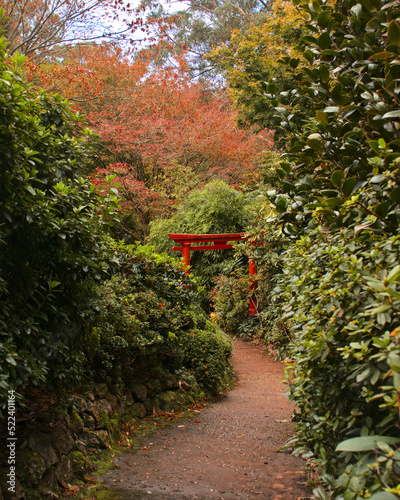 Torii gate in amongst bushes
