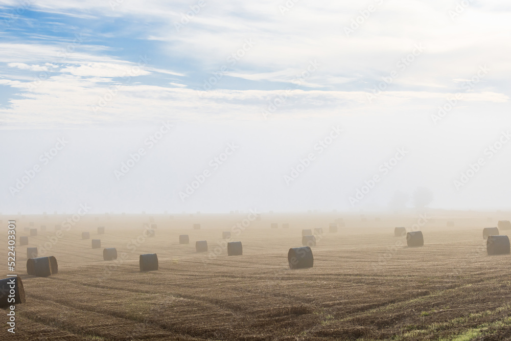 Obraz premium Morning fog on a field with hay bales