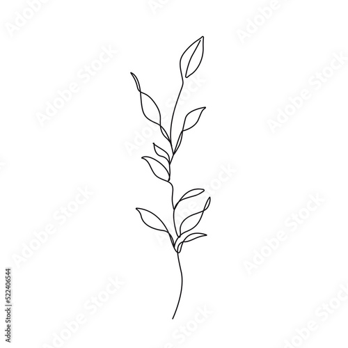 Line Art Leaves Branch Silhouette Black Sketch on White Background. One Line Beautiful Plant with Leaves. Floral Minimalistic Vector Illustration.