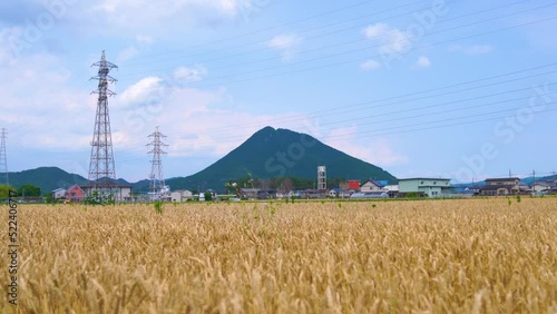 滋賀県野洲市 近江富士 三上山 photo