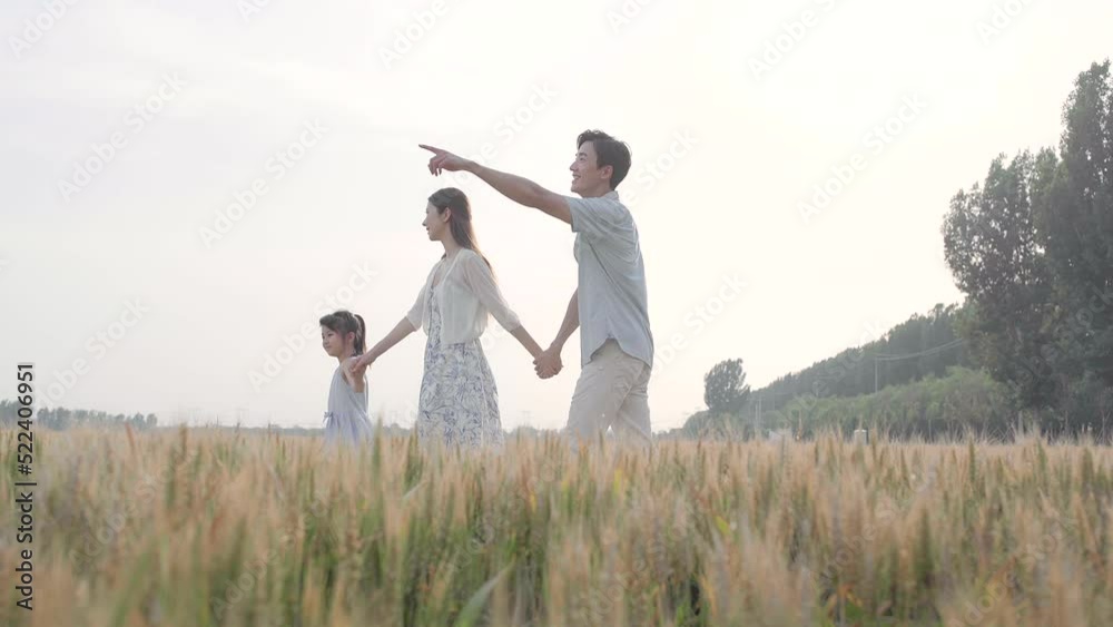 Happy young family having fun in wheat field,4K Happy young family having fun in wheat field,4K