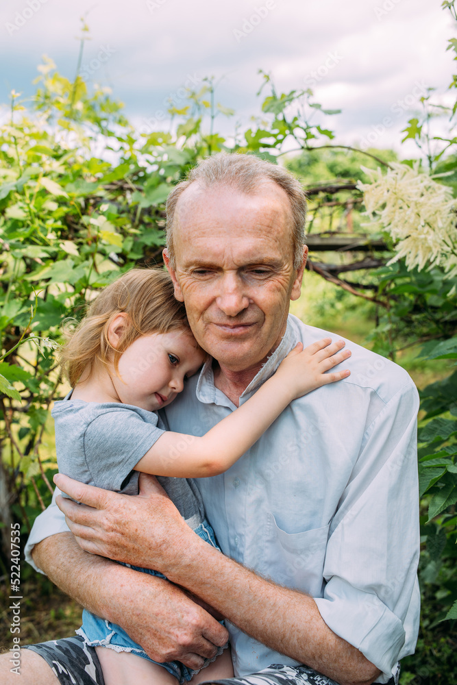 A little girl hugs her grandfather on a walk in the summer outdoors. A little girl hugs her grandfather on a walk in the summer outdoors.