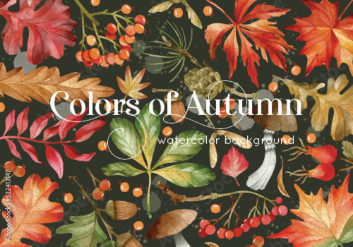 Colors of autumn watercolor leaves background