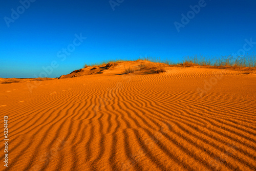 Picturesque view of desert with orange sand on sunny day