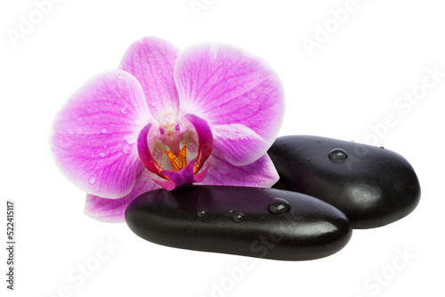 Orchid Blossom and Pebbles with transparent background