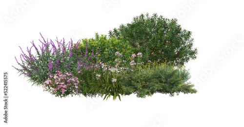 Colorful flowers on a transparent background