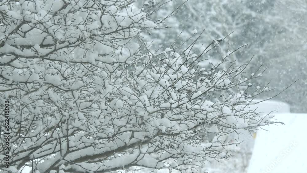 冬景色 降りしきる雪 冬景色 降りしきる雪