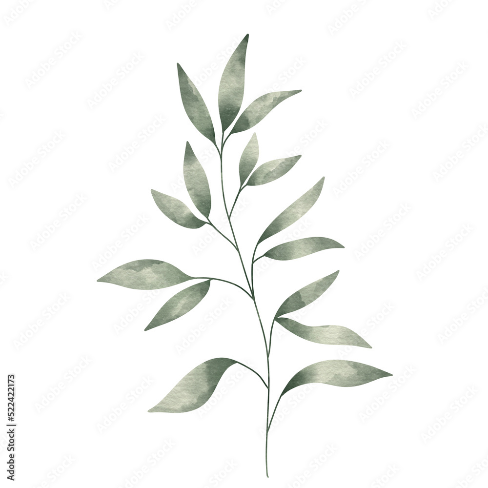 Naklejka premium watercolor leaves flowers Forest, trees, flora, watercolor, hand painted, illustration