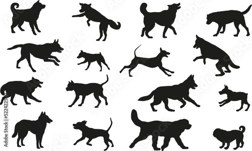 Group of dogs various breed. Black dog silhouette. Running, standing, walking, jumping dogs. Isolated on a white background. Pet animals. Vector illustration. © tikhomirovsergey