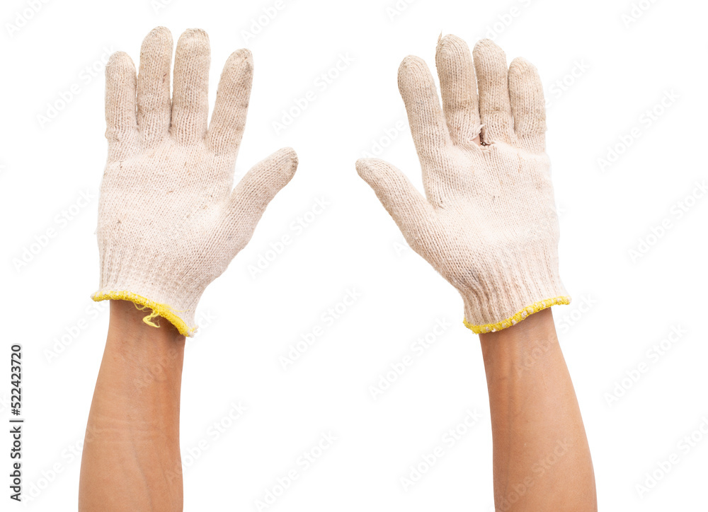 Hand wearing cotton glove isolated Hand wearing cotton glove isolated