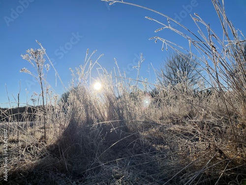 Beautiful winter landscape ...