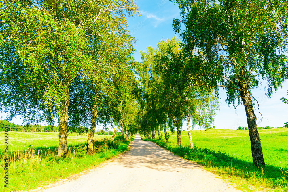 Summer Empty Country Road With Trees Beside.Landscape Concept. Long gravel road in summer nature landscape. Summer Empty Country Road With Trees Beside.Landscape Concept. Long gravel road in summer nature landscape.