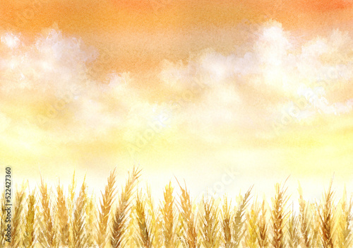 Watercolor illustration of  wheat field photo