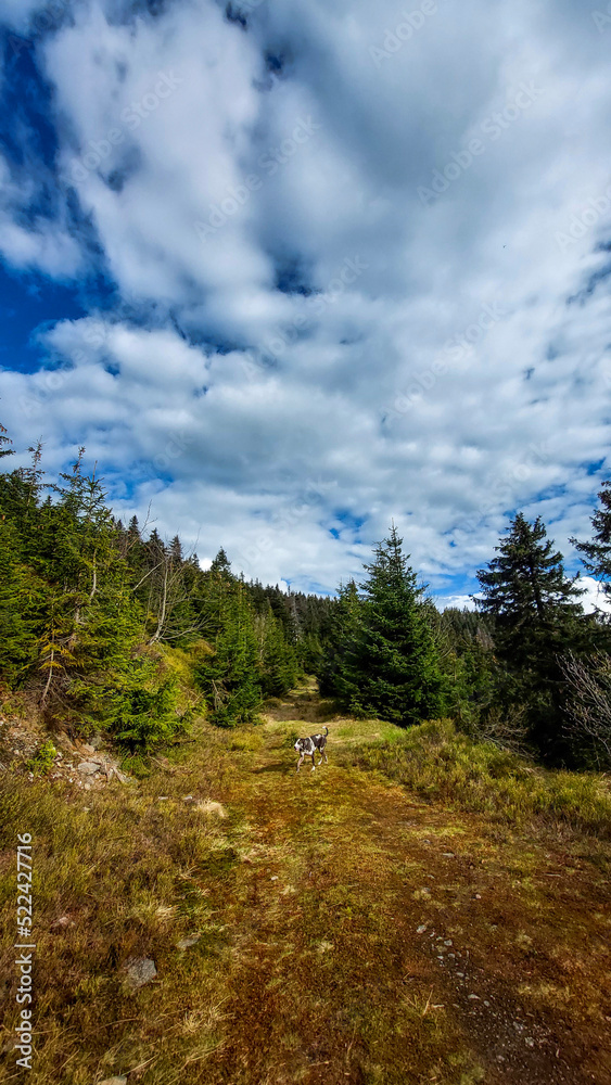 mountain landscape with sky