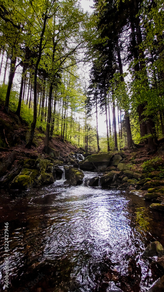Stream inside the mountain forest