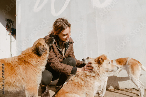 Young jockey woman petting dogs during equestrian practice