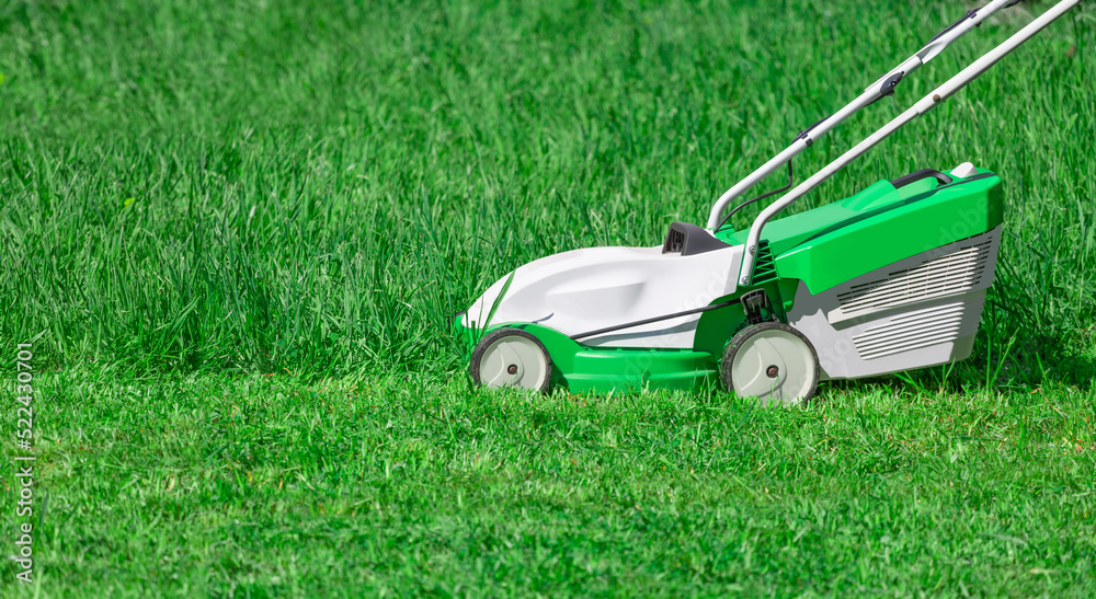 An electric lawn mower mowers grass. View side An electric lawn mower mowers grass. View side