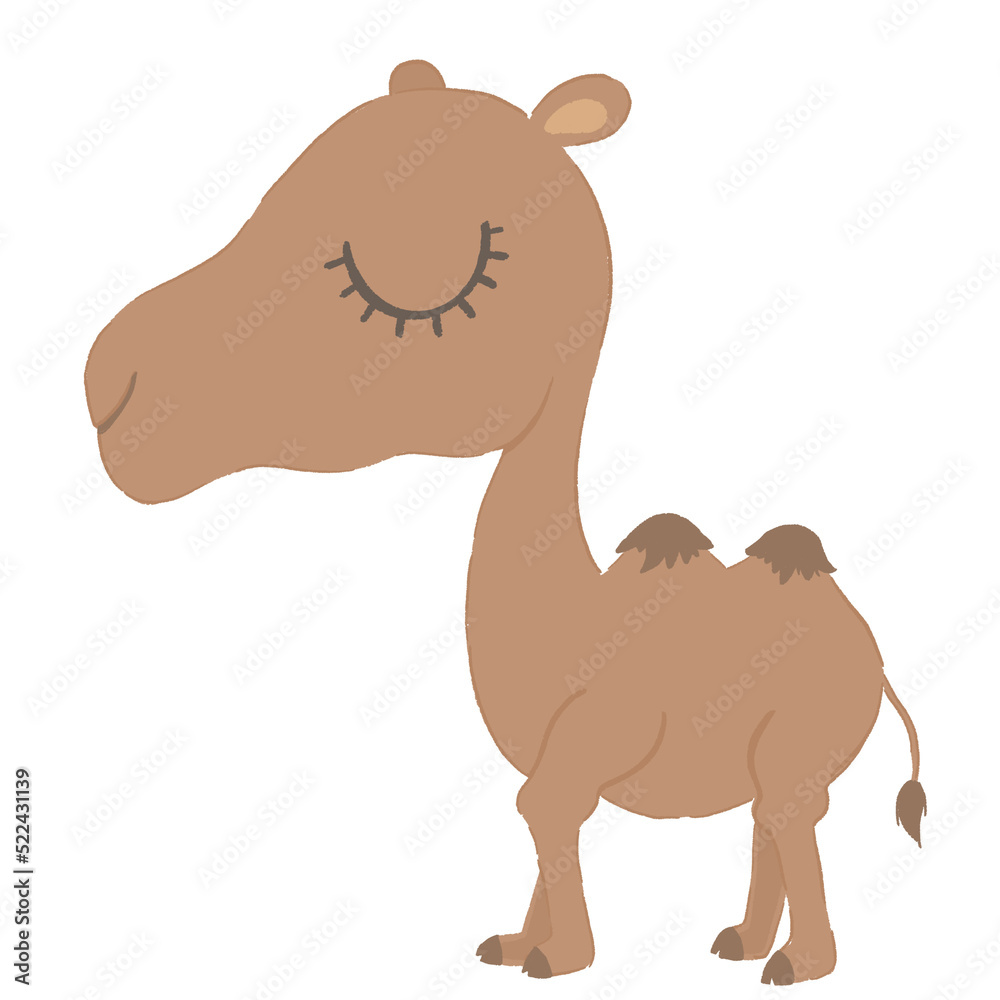 Obraz premium Close Eye - Camel