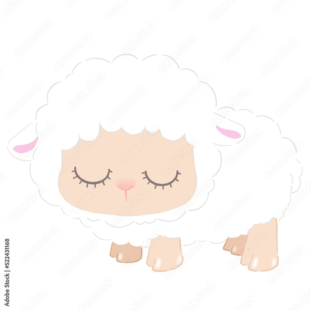 Fototapeta premium Close Eye - Sheep