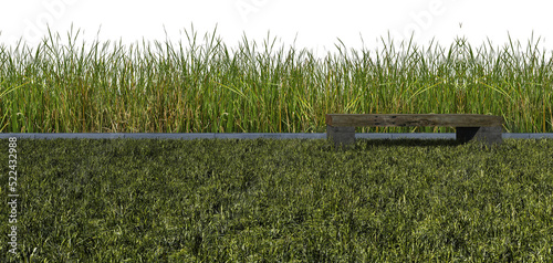 3d rendering  green color wild grasses field and sky mockup photo