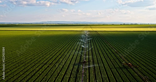 Agricultural irrigation system on industrial onion farm field