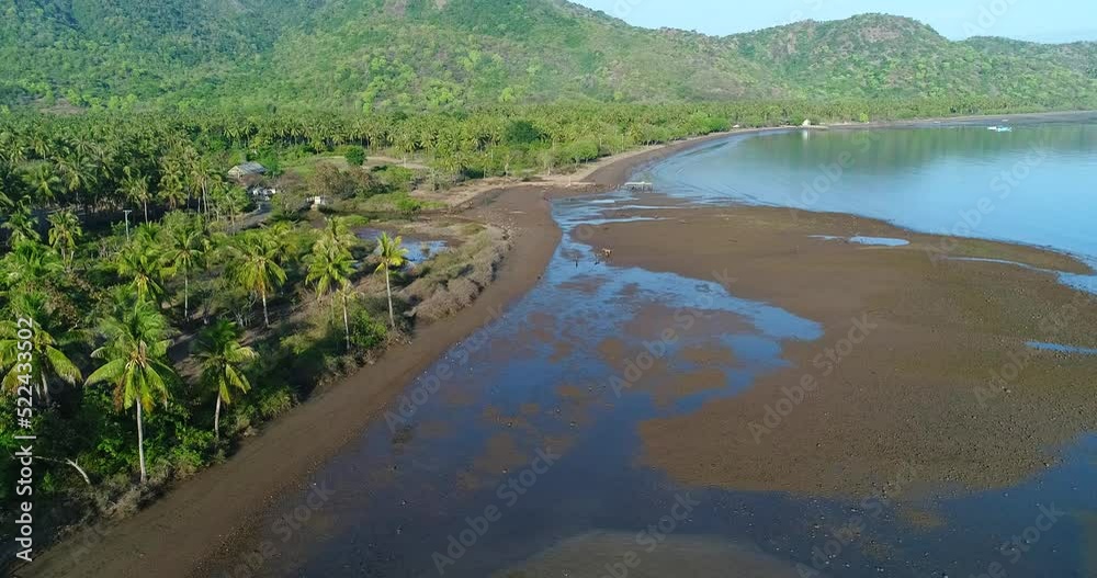 Aerial shot of horses on black sand beach at low tide, mountain background