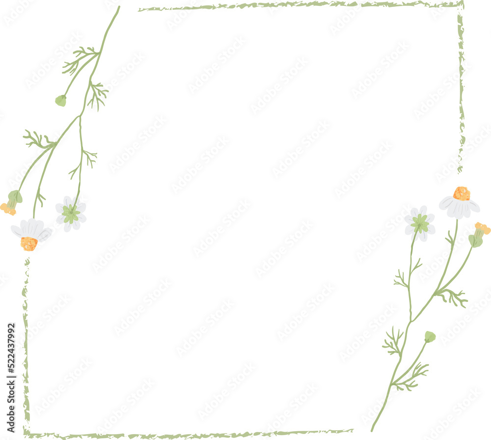 beautiful minimal white chamomile flower square frame