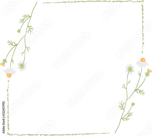 beautiful minimal white chamomile flower square frame