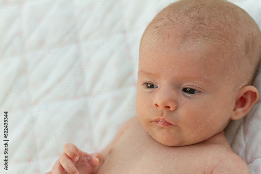 portrait of a beautiful newborn baby two months old portrait of a beautiful newborn baby two months old