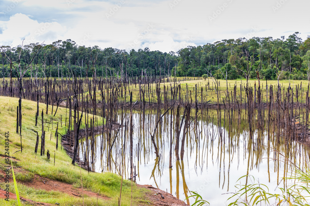 Forests were destroyed because of the construction of a dam in Laos. Forests were destroyed because of the construction of a dam in Laos.