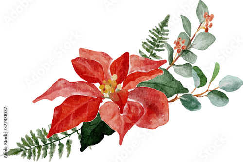 watercolor christmas poinsettia flower bouquet elements