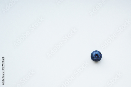 Blueberry bilberry huckleberry hurtleberry berry isolated whortleberry template space white background 