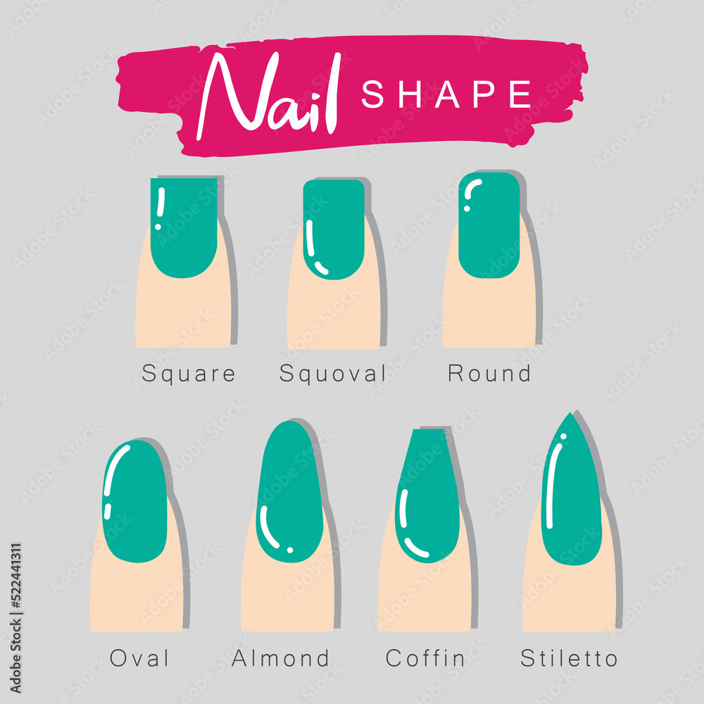 Nail shapes, Popular nail shapes. Different kinds of nail shapes