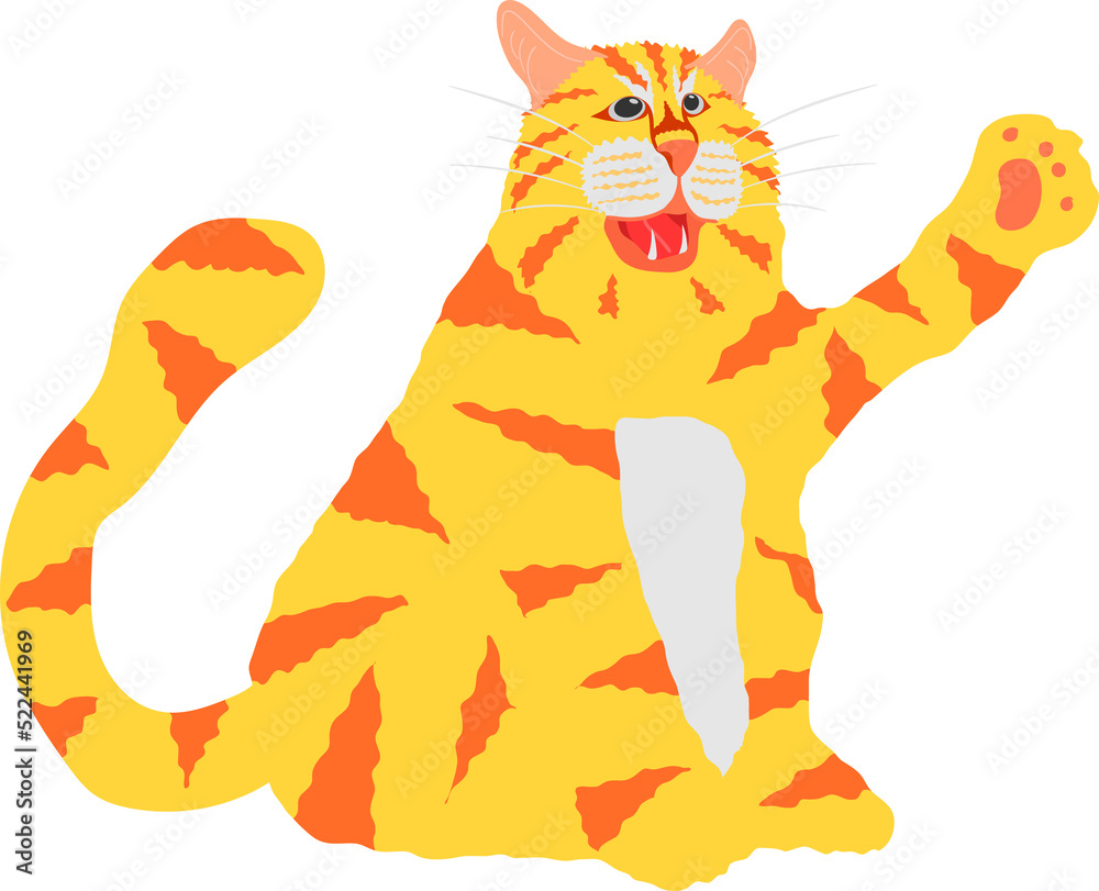 Fototapeta premium the lovely yellow and orange striped cat sit and raise one legs on left side.