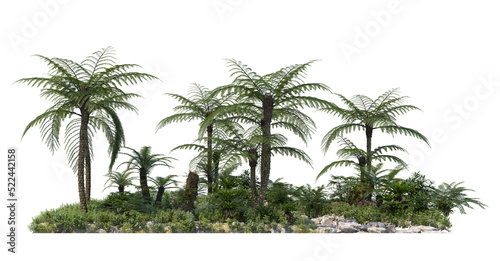 Tropical plant garden on a transparent background